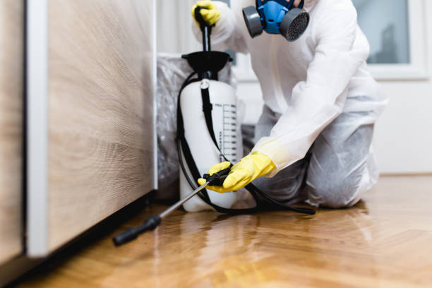 Wasp Removal Services in North Yelm, WA