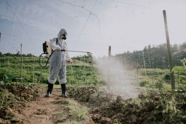 Reliable North Yelm, WA Pest Control Solutions