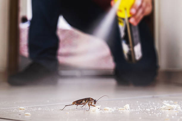 Wildlife Control Services in North Yelm, WA