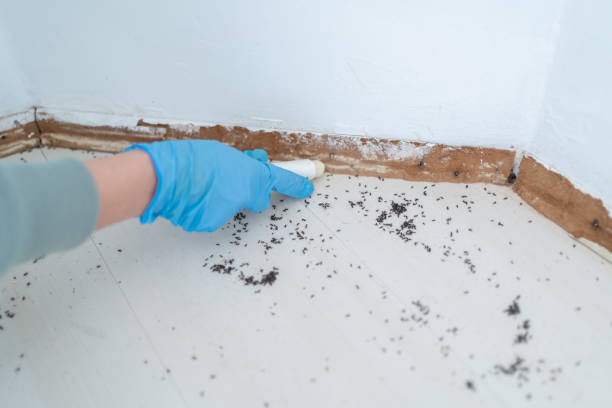 Best Pest Inspection Near Me  in North Yelm, WA