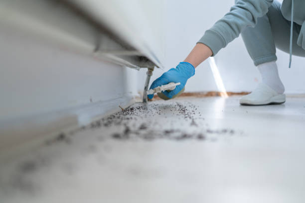 Best Cockroach Control Services  in North Yelm, WA