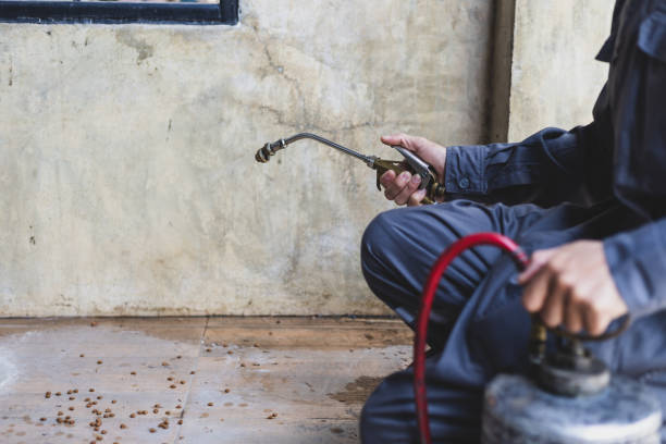 Best Pest Removal Services  in North Yelm, WA